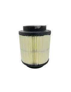 Filtro De Aire Polaris Ace