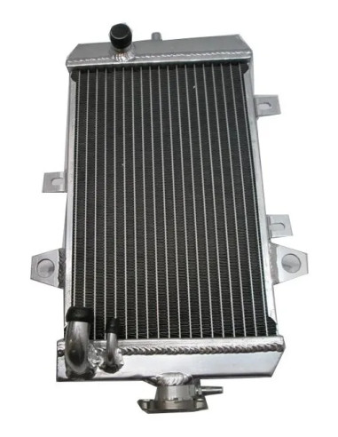 Radiador Raptor 700 Linea Nueva Alternativo