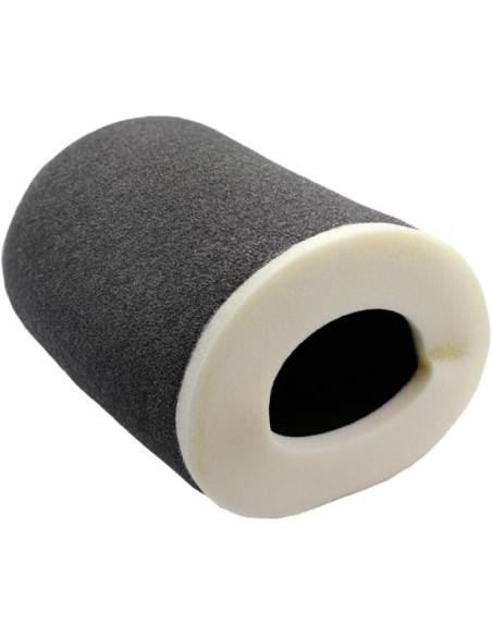 Filtro De Aire Yfz450/r Original