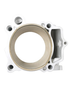 Cilindro De Yamaha Yfz 450r